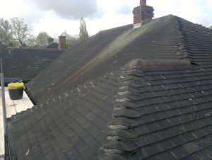  Roof - Before